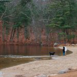 A couple playing with dog on beach of Ashland State Park MA USA