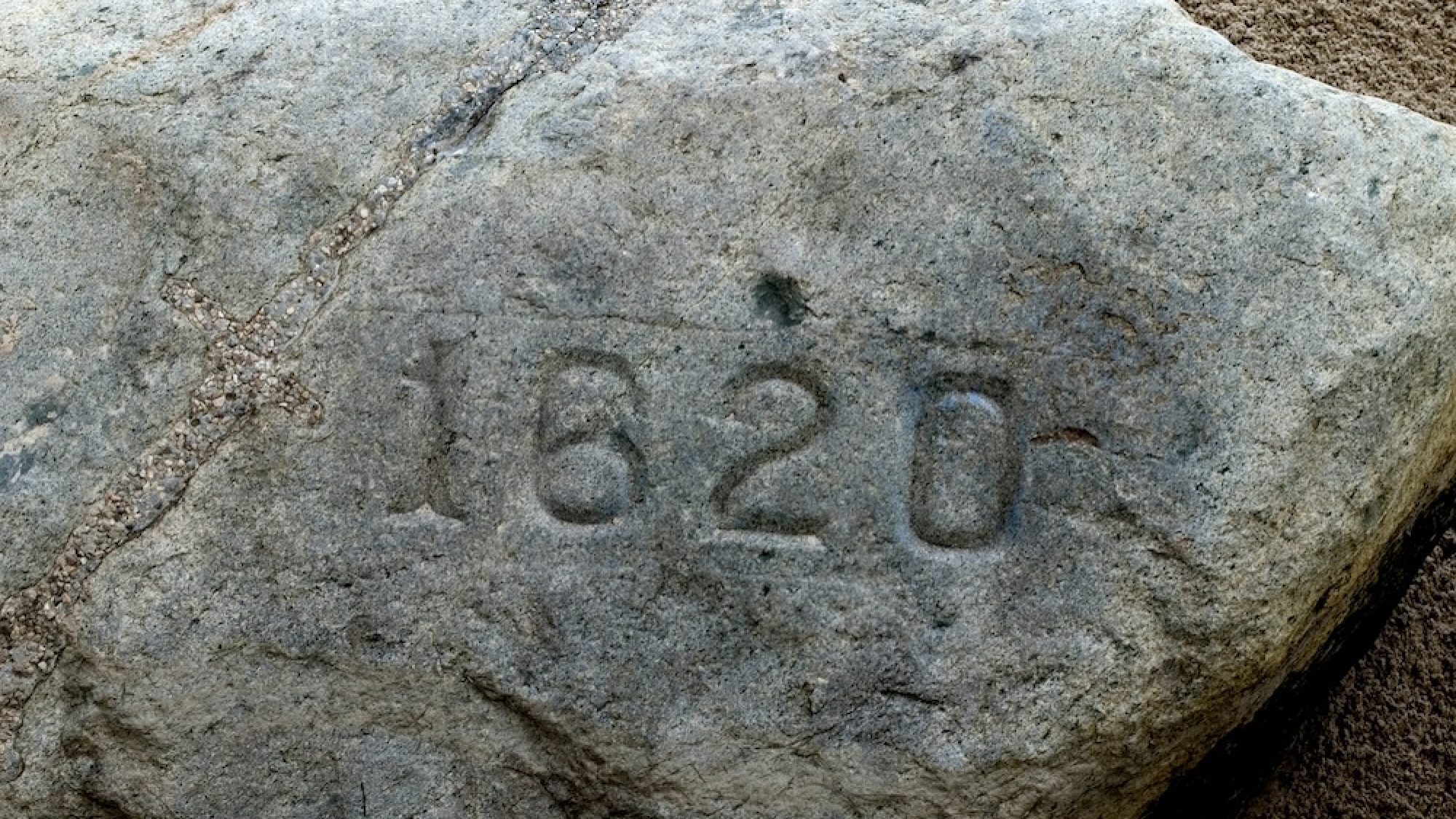 Plymouth Rock