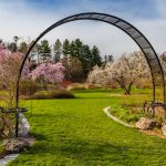 Boston's Arnold Arboretum