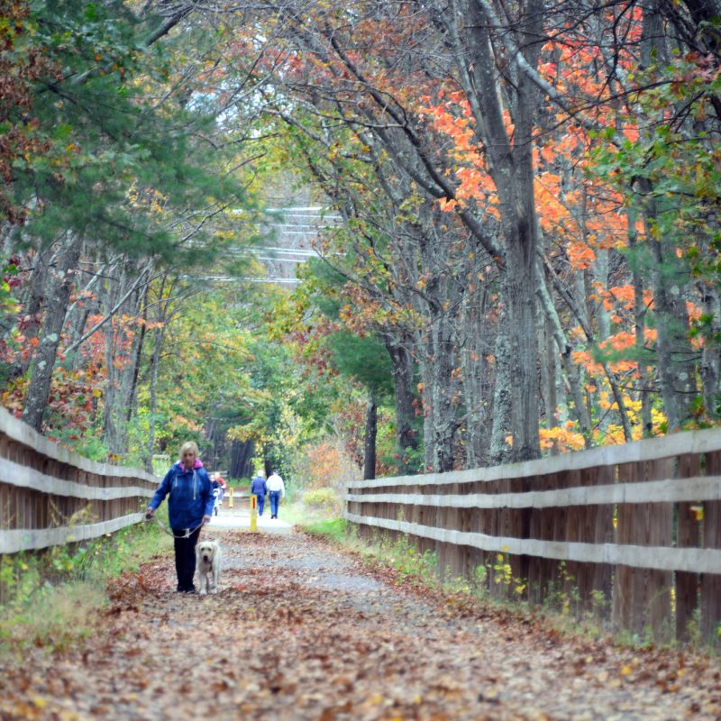 Image of the Bruce Freeman Rail Trail