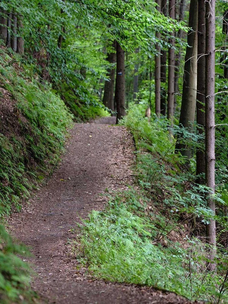 Hiking in Massachusetts