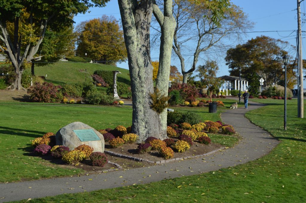 Fall in Brewster Gardens, Plymouth MA