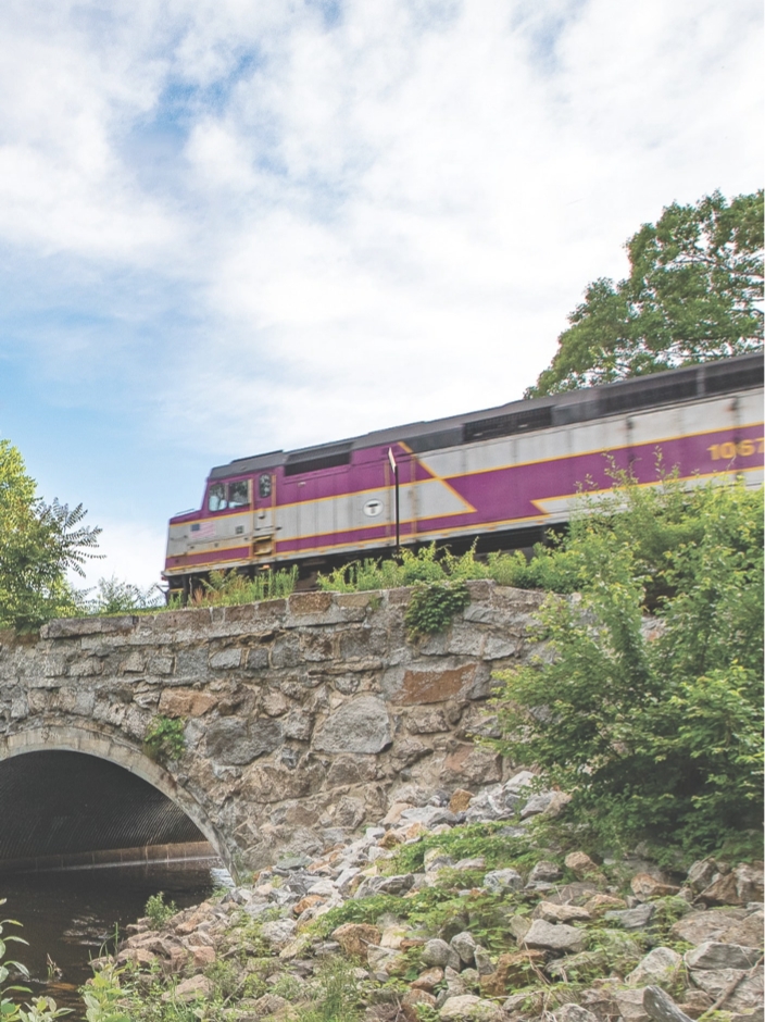train