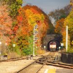 Train going through an area with fall foliage