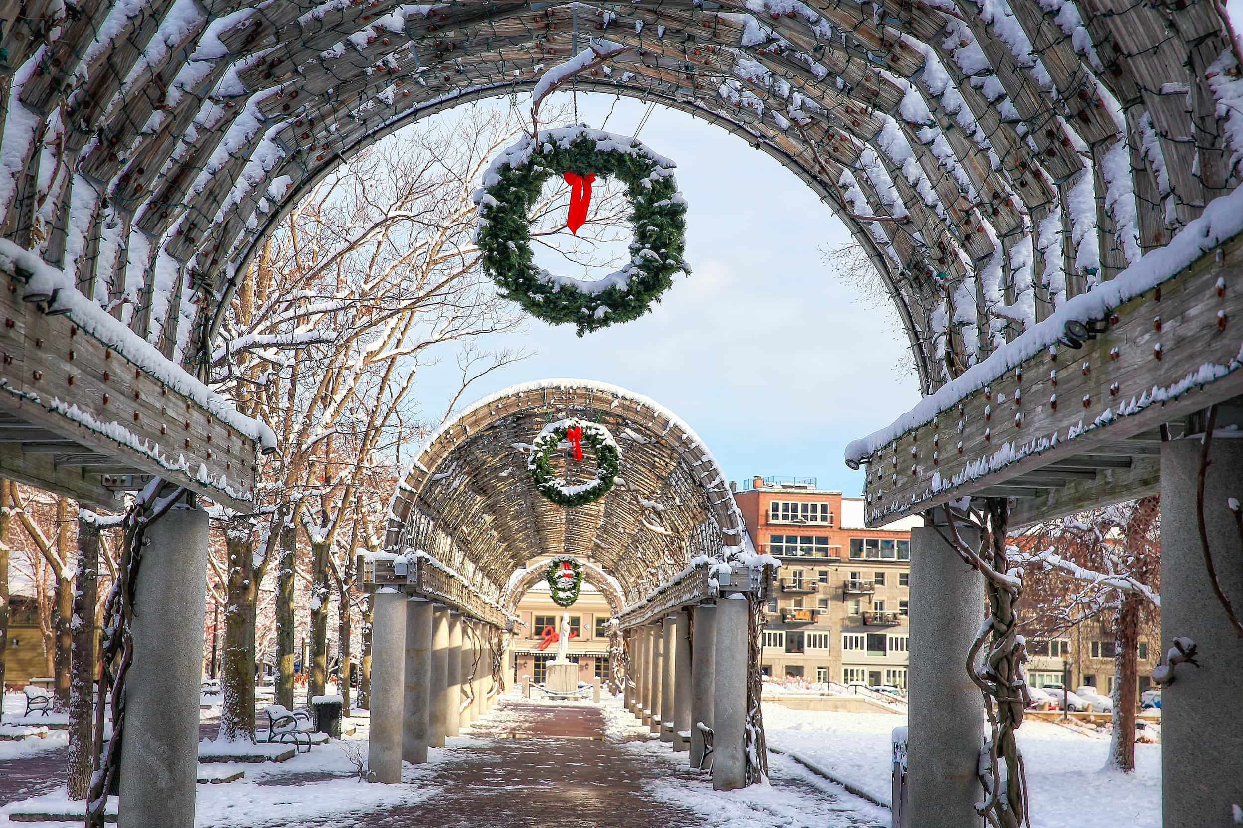 Holiday Light Display in Boston's North End.