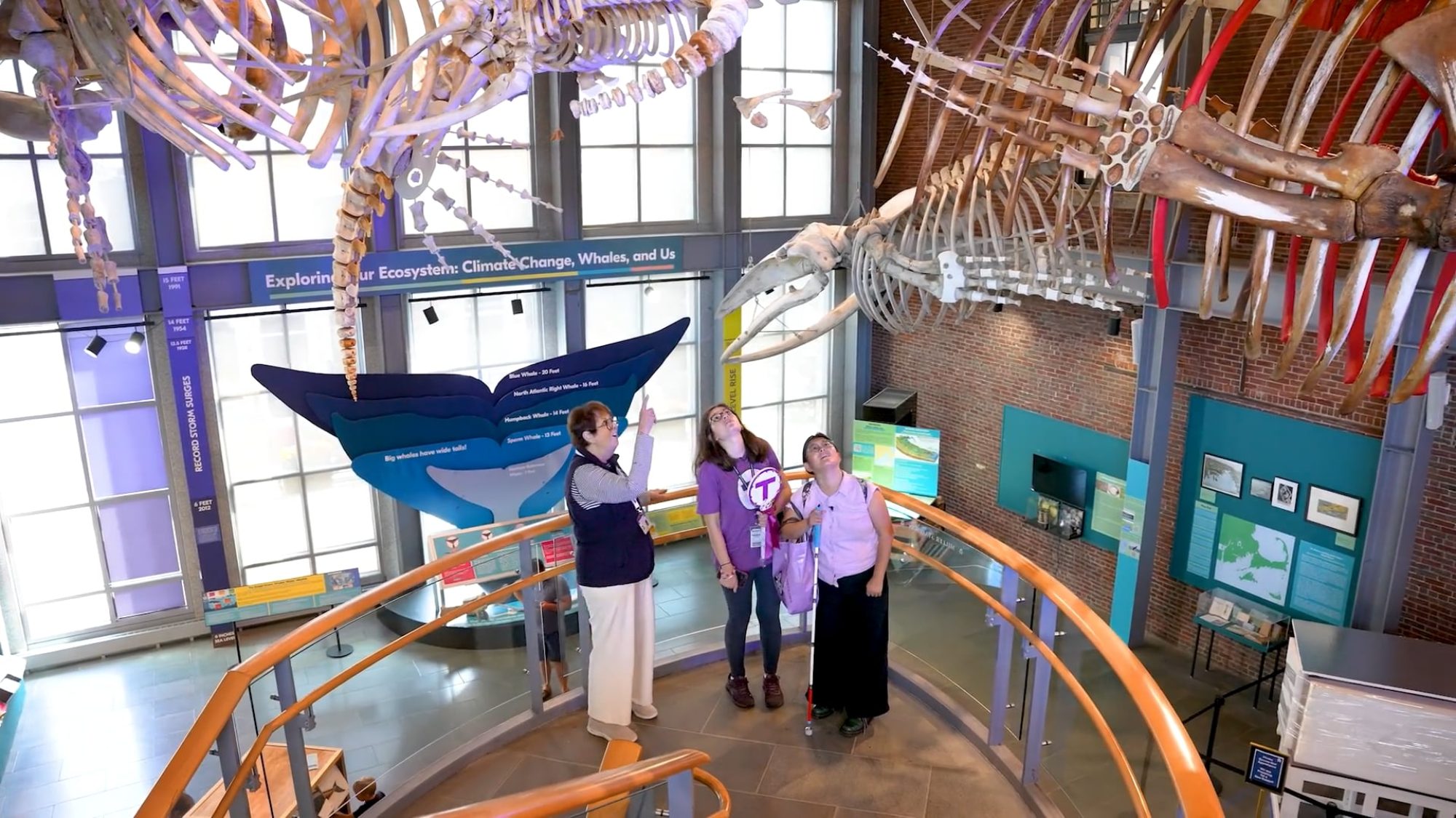 Pari and Tina looking at whale skeletons at The New Bedford Whaling Museum.