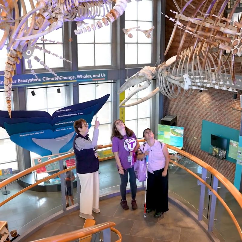 Pari and Tina looking at whale skeletons at The New Bedford Whaling Museum.