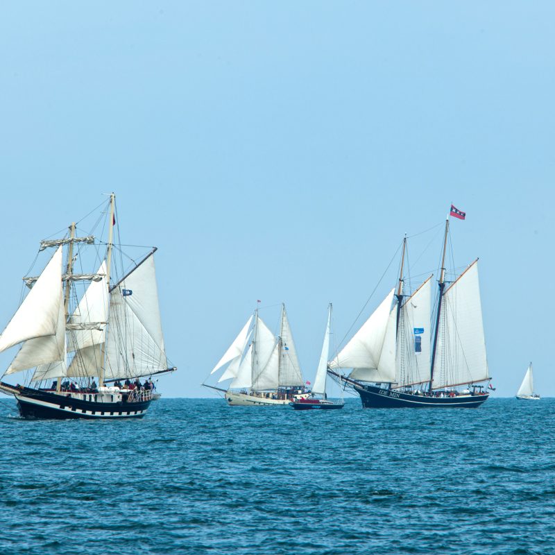 Tall Ships in the ocean preparing for their parade of sail